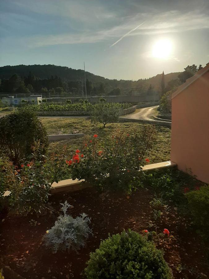 Apartment "Manna Zrnovo Екстер'єр фото